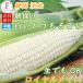  кукуруза утро .. кукуруза Shizuoka префектура Hamamatsu Royal meiz белый кукуруза 30шт.@ сырой тоже еда ...... кукуруза 