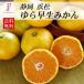 �݂��� 5kg ��瑁���݂��� ����������̗R�ǂ݂��� 5�L�� �t���[�c �ʕ� ���k �Â� �~�J�� ���Z���T�[ �É����l�� ���������@10/20�o�׃X�^�[�g