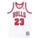 NBA Michael * Jordan Chicago *bruz форма / джерси 1995-1996 подлинный переиздание Mitchell &nes/Mitchell &amp; Ness2203MN специальный выпуск 