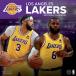 NBA Ray The Cars календарь 2023 год 12x12 команда орнамент Calendar Turner