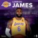 NBA Revlon * J ms Ray The Cars календарь 2023 год 12x12 плеер орнамент Calendar Turner