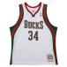 NBAya лак *atetokmbo Mill War ключ * задний s форма переиздание swing man (2013-14) Mitchell &nes/Mitchell &amp; Ness
