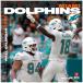  Dolphin z календарь NFL 2021 год версия команда орнамент постер интерьер Turner
