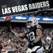 NFL Raider s календарь 2023 год 12x12 команда орнамент Calendar Turner
