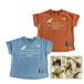  short sleeves T-shirt man 100 110 120 130 Kids dinosaur Dinosaur tops child clothes back print sp-156-1