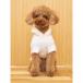 �W�F���[�g�s�P CAT&DOG �X���[�Y�B�[�Q�{�[�_�[�t�[�f�B�[ pagg259114 �W�F���s�P �h�b�O�E�F�A ���p ���^�� gelato pique �֘A�摜2