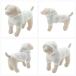 �W�F���[�g�s�P CAT&DOG �X���[�Y�B�[�Q�{�[�_�[�t�[�f�B�[ pagg259114 �W�F���s�P �h�b�O�E�F�A ���p ���^�� gelato pique �֘A�摜5