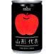 �R�`��\ ��񂲃W���[�X 100�� 160g�~20�{