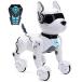  remote control robot dog. toy robot for children Rc dog robot toy for children 34 5 6 7 8 910 -years old and more Smart & Dance robot toy parallel import 