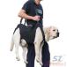  уход . собака уход для товары для ухода уход для Harness собака приспособление для ходьбы Harness домашнее животное zonchi- Harness уход сопутствующие товары маленький размер собака средний собака большой собака . собака . применение товары для домашних животных домашнее животное товары 