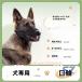 �� ���� ���̌��� �}�Y�� ������ ���ʖi�� ���݂� �E���H���h�~ �}�X�N �V�F���w�� ���b�V�� ���o���� �g���₷�� ���K ���S �֗� ���킢��