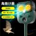 �������ފ� �L�悯 ���悯 �y�b�g�p�i ���o���� �����p �L���� 10m���m�͈� �h���h�o �V�F���w�� �����g �Q�b�΍�� ���悯 �t�N���E�^ �l�Y�~�쏜�� USB�[�d