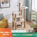  башня для кошки кошка tower .. класть type из дерева башня для кошки прозрачный космический корабль выставка . шт. коготь ..shemhen симпатичный из дерева кошка house дерево .. кошка paul (pole) кошка bed 