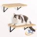  кошка для кошка подножка кошка walk стена установка 40cm товары для домашних животных легкий в использовании shemhen. починка простой популярный подарок повседневный используя удобный удобный рекомендация 