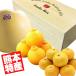  Kumamoto Special производство .... фрукты 3 позиций комплект 4. белый .* декоративный элемент pon* мандарин бесплатная доставка фрукты подарок подарок *... для фрукты набор подарок 