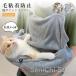  домашнее животное кошка спальный мешок ... для фартук карман Parker кошка кошка фартук ...nyanko маленький размер собака багажник слинг-переноска кенгуру карман домашнее животное sling шерсть склеивание предотвращение 