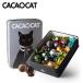 CACAOCAT жестяная банка 14 штук CAT 5 шт. комплект бесплатная доставка Hokkaido . земля производство подарок популярный DADACAkakao кошка кошка кошка ..