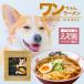 ���� �������顼��� ���� 3���� 3�ĥ��å� ����̵�� ��� �忧���Ի��� �̳�ƻ DOG NOODLE ������ �ѥ������۹� �ڥåȥա��� �顼��� �顼���