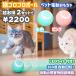  cat toy cat for toy electric automatic shines ball lamp automatic rotation cat ......ne cost less cancellation motion shortage cancellation pet accessories playing LED light attaching USB charge 