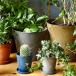 �v�����^�[ �y �� �� �󂯎M �Z�b�g �z  �A�[�g�X�g�[�� ll �A�ؔ� �� ������� ��^ �k�� �� �ϗt�A�� �y�� art stone �A�}�u�� amabro �֘A�摜4