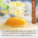 ���j�� ���Ԃ��J�X�e�� �M�t�g ����J�X�e�� 250g�~1�{�� ������ �O���� �X�C�[�c ���َq �a�َq �����n ���� ���y�Y � �z�B�w����� �֘A�摜5