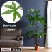 �l���� �t�F�C�N�O���[�� ���� 172cm 7�����Ή� �ϗt�A�� �l�H �p�L�� �X�^���_�[�h ���� �I�t�B�X �ϗt �A�� ���A�� �C���e���A ���� �� ���r���O