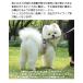 �� �L �n�[�l�X ���[�h�t �y�b�g ��  �E�F�A�n�[�l�X ���� �L���b�g �h�b�O ���b�V�� �֘A�摜1