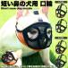  dog muzzle; ferrule mazru short . nose. dog dog. muzzle; ferrule uselessness .. biting attaching .. meal . prevention mask mesh 