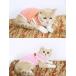 �� �L �� �E�F�A �^���N�g�b�v �{�[�_�[ �y�b�g �h�b�O �h�b�O�E�F�A ���^�� ���^�� �t �� �H �~ �֘A�摜3