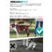�� ��� ��������h�~ ���݌v ���ʔ��Q �S������[�J�o�[�t �����Ȃ� �X�p�C�N �g���[�j���O �P�� �y�b�g �h�b�O �y�b�g�O�b�Y ���� h0638 �֘A�摜2