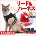  кошка Harness выпадение нет Lead есть симпатичный собака маленький размер средний большой одежда текстильная застёжка одежда Harness .. нет шлейка кошка собака сетка кошка 