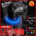 犬 首輪 LED 光る おしゃれ 猫 USB 充電式 ペット 小型犬 中型犬 大型犬 ペット用品 ドッググッズ  35cm 50cm 70cm