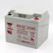 YUASA NP40-12B 2�Z�b�g�y�݊� NP38-12 SER-38-12 LC-XC1238-H SC38-12 HC38-12�z �Z�j�A�J�[�p�o�b�e���[ ���A�T �֘A�摜1