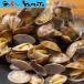  natural . attaching littleneck clam purport taste Boyle ....1kg frozen food ...... kai . profit year-end gift 