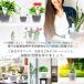 S.fields.inc���K���c�X �X���b�g�� �A�ؔ� ���� �v���X�`�b�N ��M�t�� 4�Z�b�g �ϗt�A�� �I�[�L�b�h�|�b�g (4��) �֘A�摜4