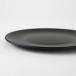 Maceta Plastic Plate�y 135 �z��136mm�~H9mm �}�Z�^ �v���\�[�T�[ �󂯎M ���M �� �}�b�g ������ �y�� ������� ���� ������ 4�� 5�� ���� ���M �v���X�`�b�N �֘A�摜3