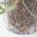 NEKKO-MIERU POT�yS�z3�� �r�����E�ʋC���ɗD�ꂽ�u���������铧���v�����v �A�ؔ� �X���b�g�� �N���A SCOOP �N���X�^�� �����ꂵ�ɂ��� �� �T�{�e�� �֘A�摜1