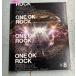 ONE ROCK PRIMAL FOOTMARK #8 A093-495