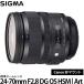  24-70mm F2.8 DG OS HSM | Art Υ EFޥ ̵