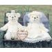  welcome board тоже становится свадьба Bear ( крем ) ручная работа комплект свадьба memorial welcome Bear wellcome кукла 