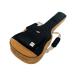 Ibanez Acoustic Guitar Gig Bags IAB541 (IAB541-BK/Black) [ акустический * гитара для gig сумка ]