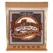 ERNIE BALL Earthwood Acoustic Phosphor Bronze 2146 MEDIUM LIGHT (12-54)