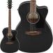 Ibanez [ получение заранее сильно сниженная цена распродажа ] PC14MHCE-WK [SPOT MODEL] Ibanez 