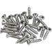 Fender USA Pickguard/Control Plate Mounting Screws (24) (Chrome) (0994923000)