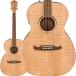 Fender Acoustics [ половина период подведение счетов распродажа ]FA-235E Concert(Natural) крыло 