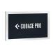 Steinberg Cubase Pro 14 [ ограниченное количество сверхнизкая цена!]( online поставка товара )(DAW soft )( старт Inver g)( кий основа )
