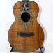G-String [ большой подведение счетов распродажа ]USED б/у T4CB Tenor Custom Sun Design #1200318ji- -тактный кольцо 