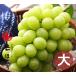  виноград фрукты автомобиль in мускат очень большой примерно 850g Okayama префектура производство вид нет подарок .. для фрукты. ... было использовано фрукты зима подарок подарок по случаю конца года 