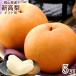  Okayama префектура производство новый высота груша 700g×5 5 шар большой шар фрукты фрукты нет .... мир груша коробка .. было использовано местного производства красный превосходящий синий превосходящий .... нет нет подарок ваш заказ .. для подарок . покупка 