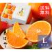  мандарин .. Ehime префектура производство .. какой L размер 5 шар 1 шар примерно 180~230g.. для зима подарок подарок по случаю конца года фрукты подарок . подарок. ... было использовано фрукты 
